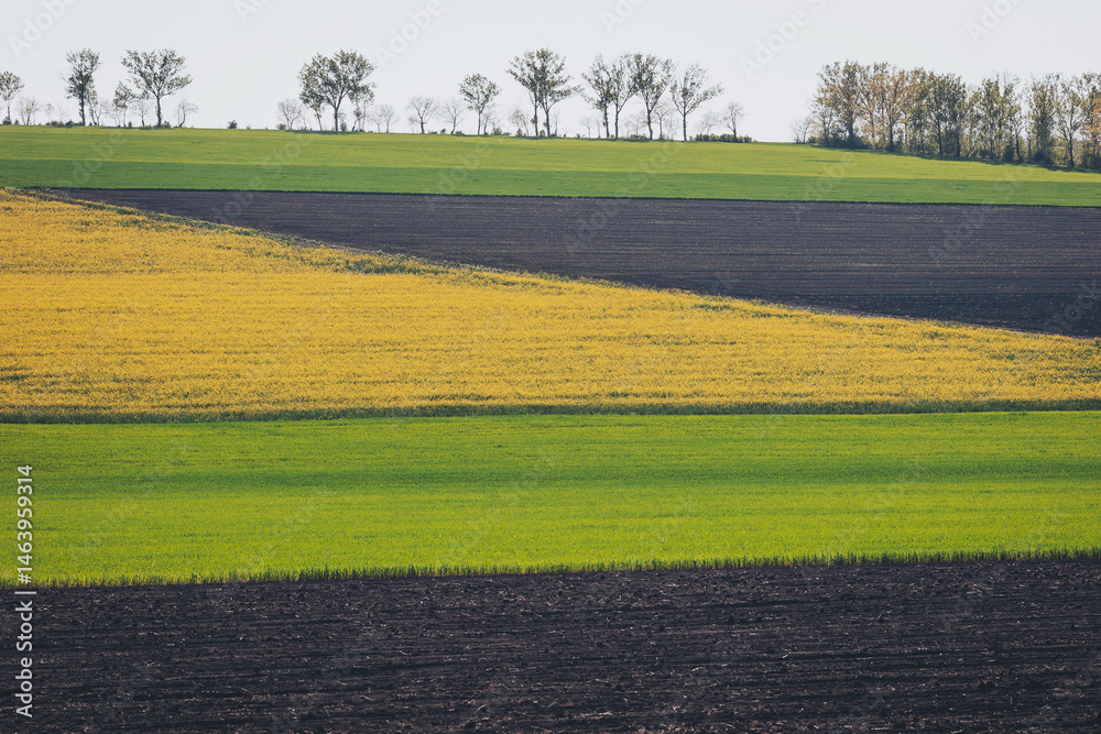 Obraz premium Vibrant patchwork of fields showcases hues of green, yellow, and brown in a serene countryside landscape during early autumn