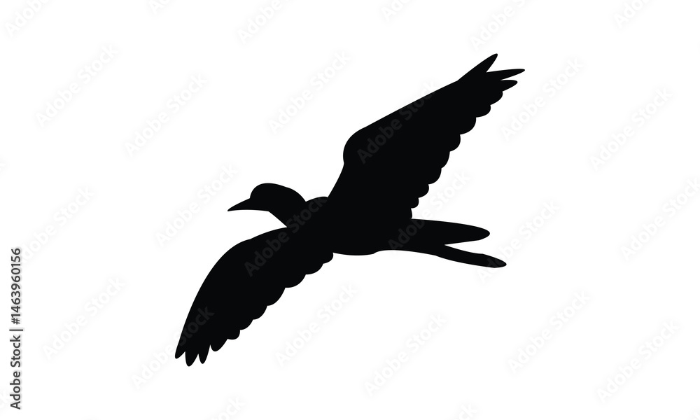Fototapeta premium Flying African wattled lapwing bird Silhouette Design And Vector Illustration.