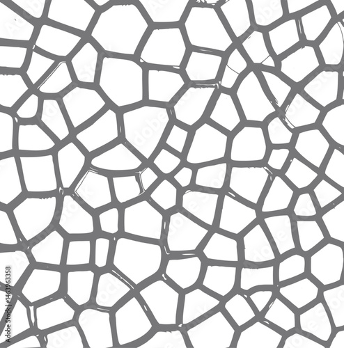 seamless Broken tiles mosaic pattern. texture interior background line, rounded polygonal shapes, similar to a natural biological structure or plant cell wall. 