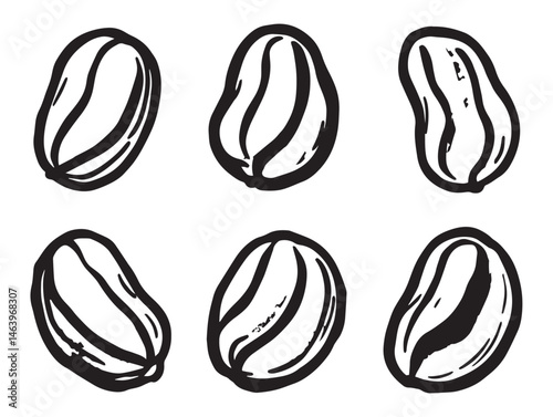 Minimalist dried grapes fruit line drawing for design