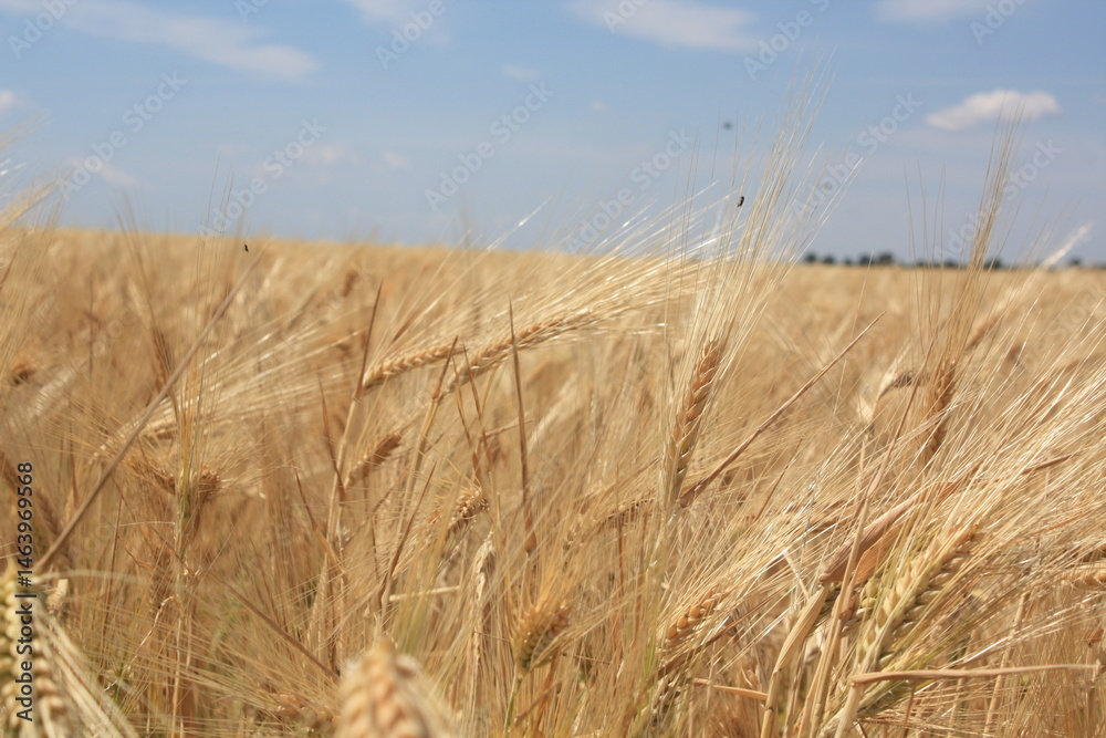 Fototapeta premium The beauty of Odessa city