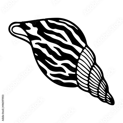 ocean shell with wavy stripes