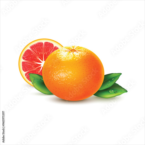 Realistic illustration of whole and half mandarin orange fruit
