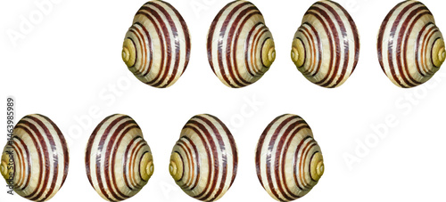 fabric41