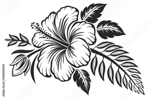 67 Black and white botanical illustration, hibiscus flower, intricate woodcut style, high contrast, detailed petals and leaves, vintage engraving technique, bold linework, tropical floral design, symm