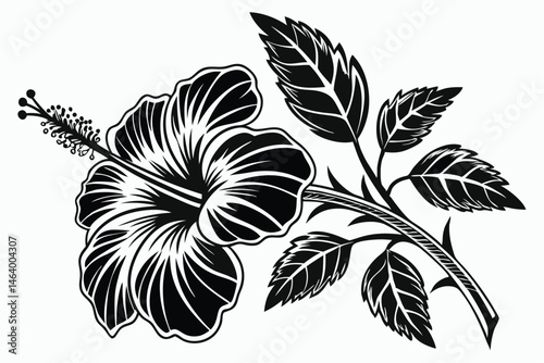 67 Black and white botanical illustration, hibiscus flower, intricate woodcut style, high contrast, detailed petals and leaves, vintage engraving technique, bold linework, tropical floral design, symm