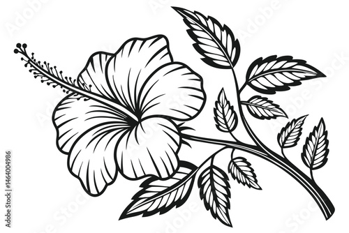 67 Black and white botanical illustration, hibiscus flower, intricate woodcut style, high contrast, detailed petals and leaves, vintage engraving technique, bold linework, tropical floral design, symm