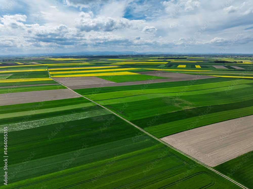 Aerial drone view of beautiful yellow fields rapeseed.Village country farming shapes in fields. Spring fields of yellow blooming rapeseed, growing plants. Fields in the Opole village from a drone.