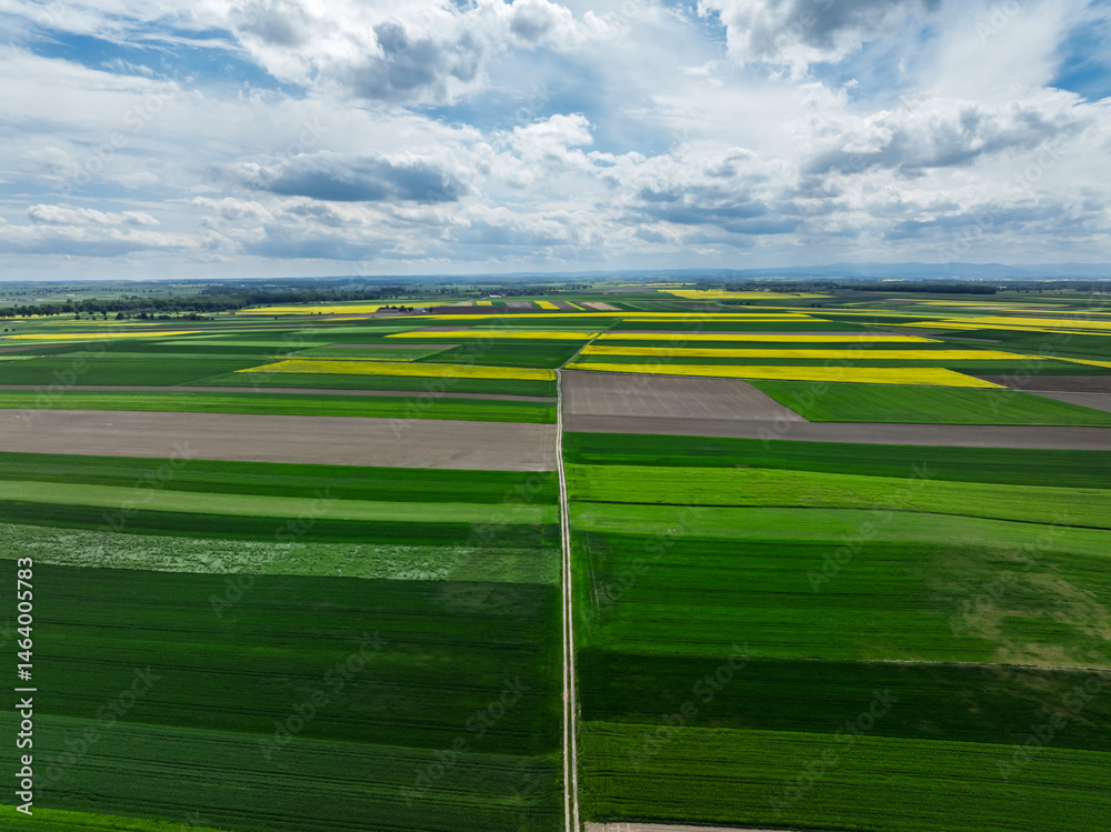 Aerial drone view of beautiful yellow fields rapeseed.Village country farming shapes in fields. Spring fields of yellow blooming rapeseed, growing plants. Fields in the Opole village from a drone.