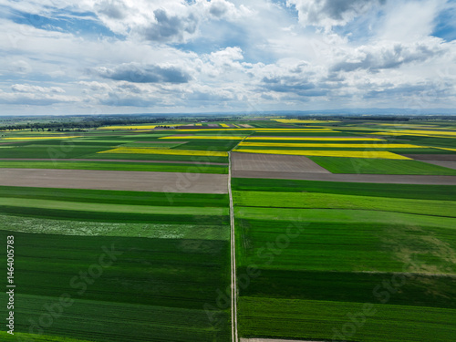 Obraz na płótnie Aerial drone view of beautiful yellow fields rapeseed.Village country farming shapes in fields. Spring fields of yellow blooming rapeseed, growing plants. Fields in the Opole village from a drone. w salonie