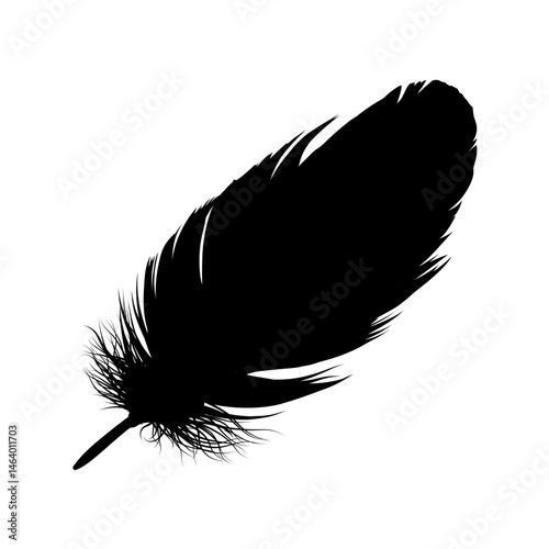 Silhouette of a bird feather – vector illustration