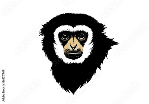 Detailed vector illustration of a gibbon monkey’s face in black and white with beige facial features. Ideal for wildlife designs, zoo branding, and conservation awareness visuals.