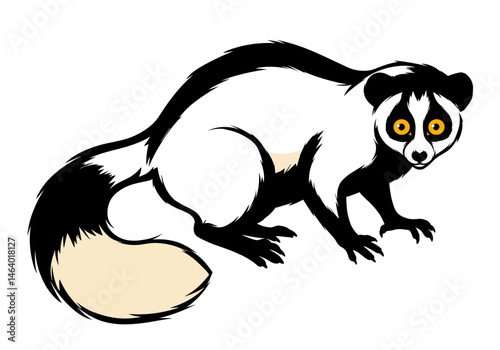 Vector drawing of a black and white lemur with big yellow eyes and a bushy tail. Ideal for wildlife education, jungle-themed graphics, and nature-related designs.

