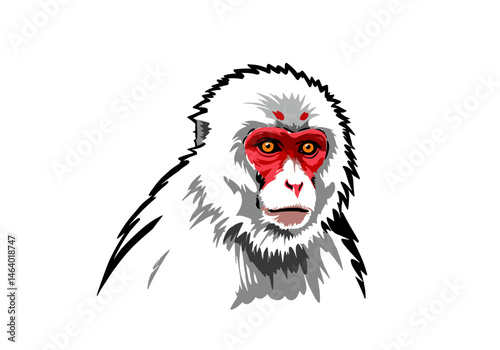 Stylized vector illustration of a Japanese macaque, also known as a snow monkey. Detailed face with red skin, expressive orange eyes and white fur.