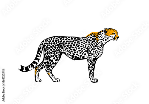 Side view vector drawing of a cheetah with spotted fur and dynamic posture. Sleek body, long tail, and distinctive face markings. Perfect for safari, wildlife, and predator themes.