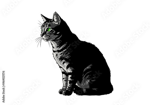 Vector illustration of a sitting tabby cat with green eyes, realistic domestic pet design for animal-related content and branding