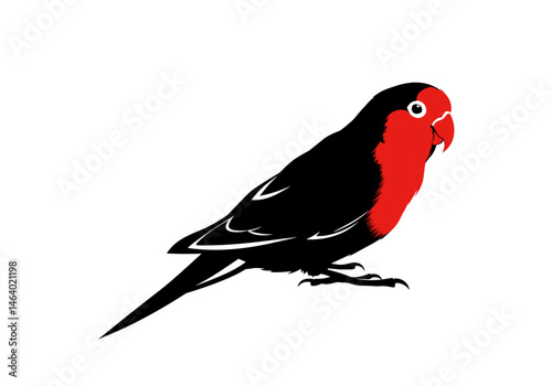 Vector cartoon image of a red and black lovebird sitting calmly. Ideal for pet industry branding, avian-themed decor, tropical bird illustrations, or children’s educational materials.