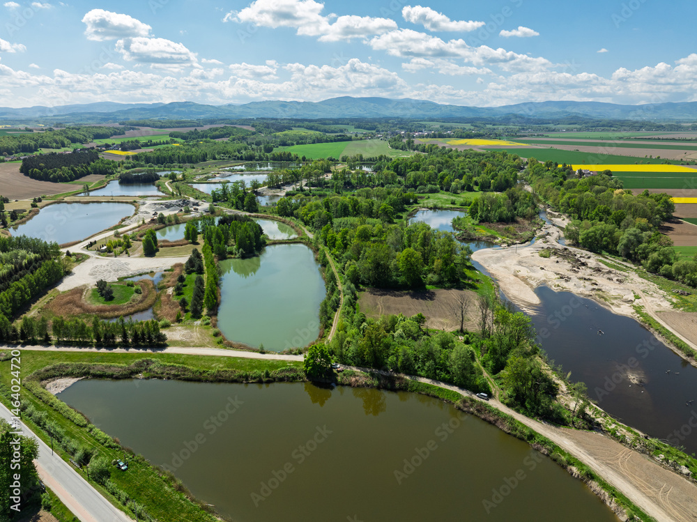 Aerial drone view of beautiful yellow fields rapeseed.Village country farming shapes in fields. Spring fields of yellow blooming rapeseed, growing plants. Fields in the Opole village from a drone.