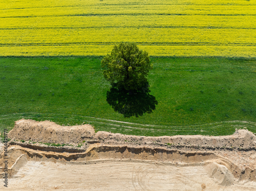 Aerial drone view of beautiful yellow fields rapeseed.Village country farming shapes in fields. Spring fields of yellow blooming rapeseed, growing plants. Fields in the Opole village from a drone.