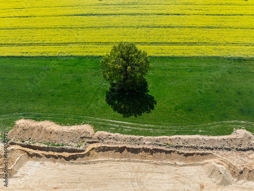 Obraz na płótnie Aerial drone view of beautiful yellow fields rapeseed.Village country farming shapes in fields. Spring fields of yellow blooming rapeseed, growing plants. Fields in the Opole village from a drone. w salonie