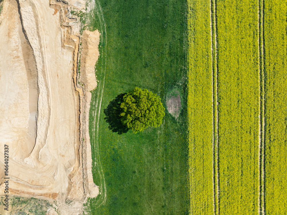 Aerial drone view of beautiful yellow fields rapeseed.Village country farming shapes in fields. Spring fields of yellow blooming rapeseed, growing plants. Fields in the Opole village from a drone.