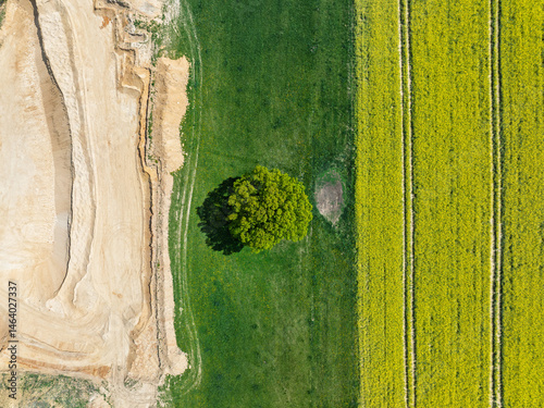 Obraz na płótnie Aerial drone view of beautiful yellow fields rapeseed.Village country farming shapes in fields. Spring fields of yellow blooming rapeseed, growing plants. Fields in the Opole village from a drone. w salonie