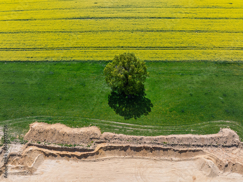 Obraz na płótnie Aerial drone view of beautiful yellow fields rapeseed.Village country farming shapes in fields. Spring fields of yellow blooming rapeseed, growing plants. Fields in the Opole village from a drone. w salonie