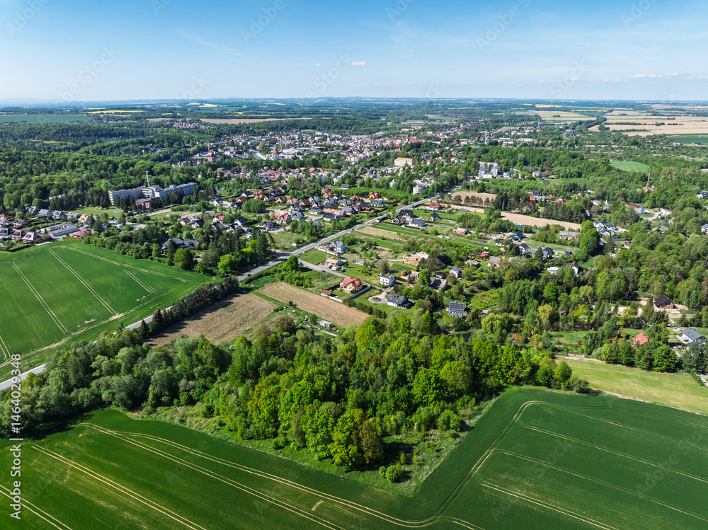 Aerial drone view of beautiful yellow fields rapeseed.Village country farming shapes in fields. Spring fields of yellow blooming rapeseed, growing plants. Fields in the Opole village from a drone.