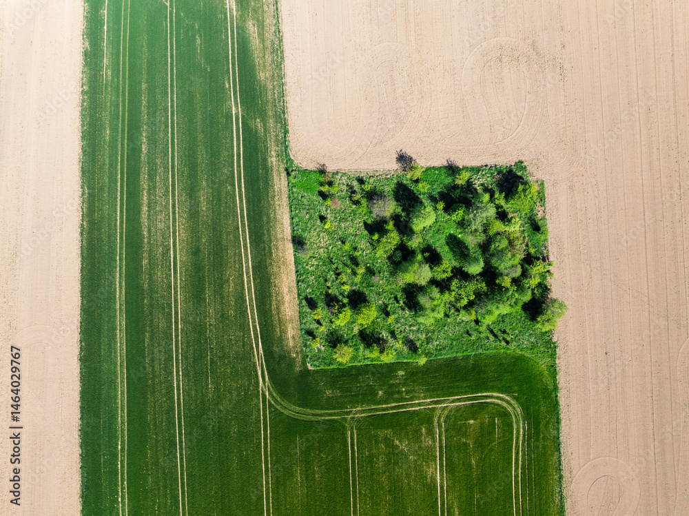 Aerial drone view of beautiful yellow fields rapeseed.Village country farming shapes in fields. Spring fields of yellow blooming rapeseed, growing plants. Fields in the Opole village from a drone.
