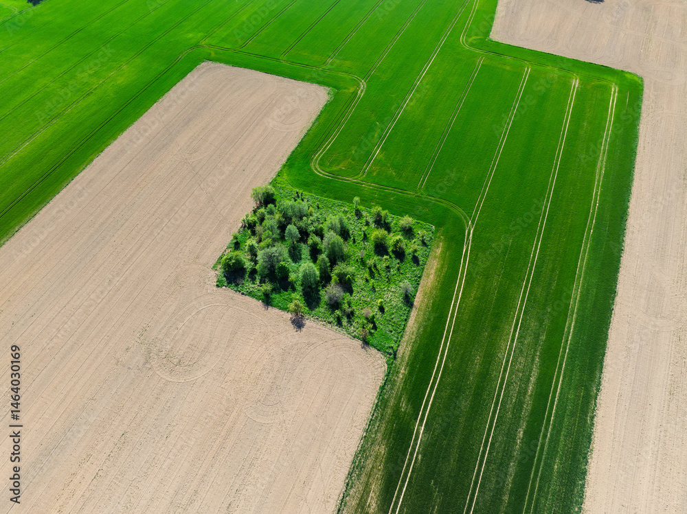 Aerial drone view of beautiful yellow fields rapeseed.Village country farming shapes in fields. Spring fields of yellow blooming rapeseed, growing plants. Fields in the Opole village from a drone.