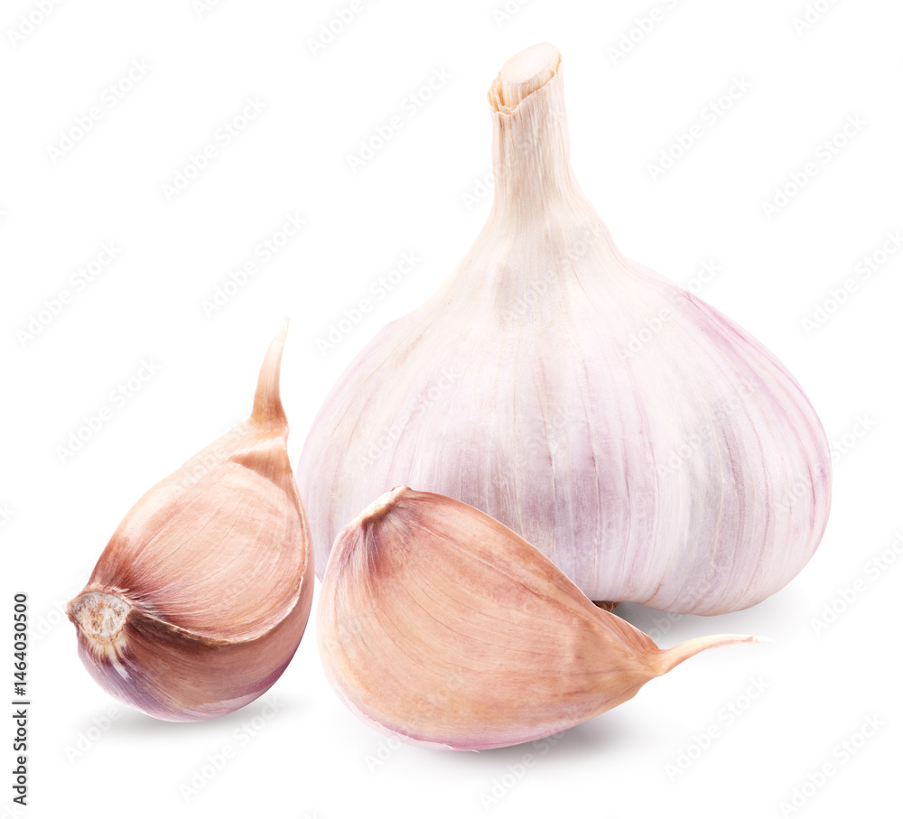 Obraz premium garlic isolated on white background. clipping path