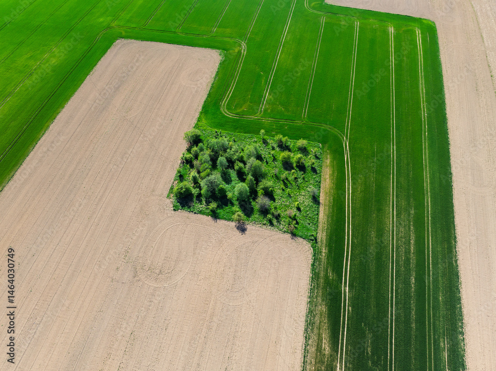 Aerial drone view of beautiful yellow fields rapeseed.Village country farming shapes in fields. Spring fields of yellow blooming rapeseed, growing plants. Fields in the Opole village from a drone.