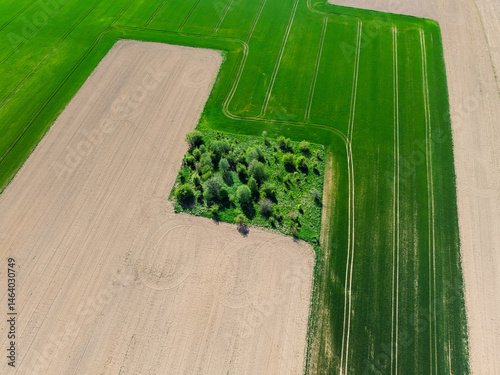 Aerial drone view of beautiful yellow fields rapeseed.Village country farming shapes in fields. Spring fields of yellow blooming rapeseed, growing plants. Fields in the Opole village from a drone.