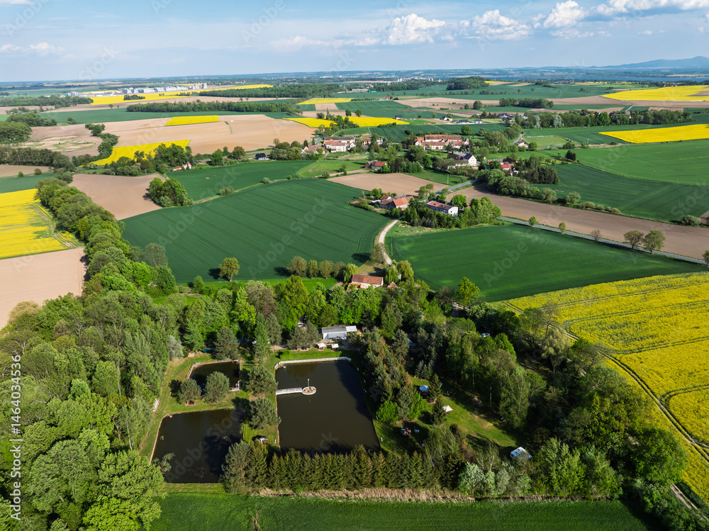 Aerial drone view of beautiful yellow fields rapeseed.Village country farming shapes in fields. Spring fields of yellow blooming rapeseed, growing plants. Fields in the Opole village from a drone.