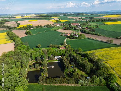 Obraz na płótnie Aerial drone view of beautiful yellow fields rapeseed.Village country farming shapes in fields. Spring fields of yellow blooming rapeseed, growing plants. Fields in the Opole village from a drone. w salonie