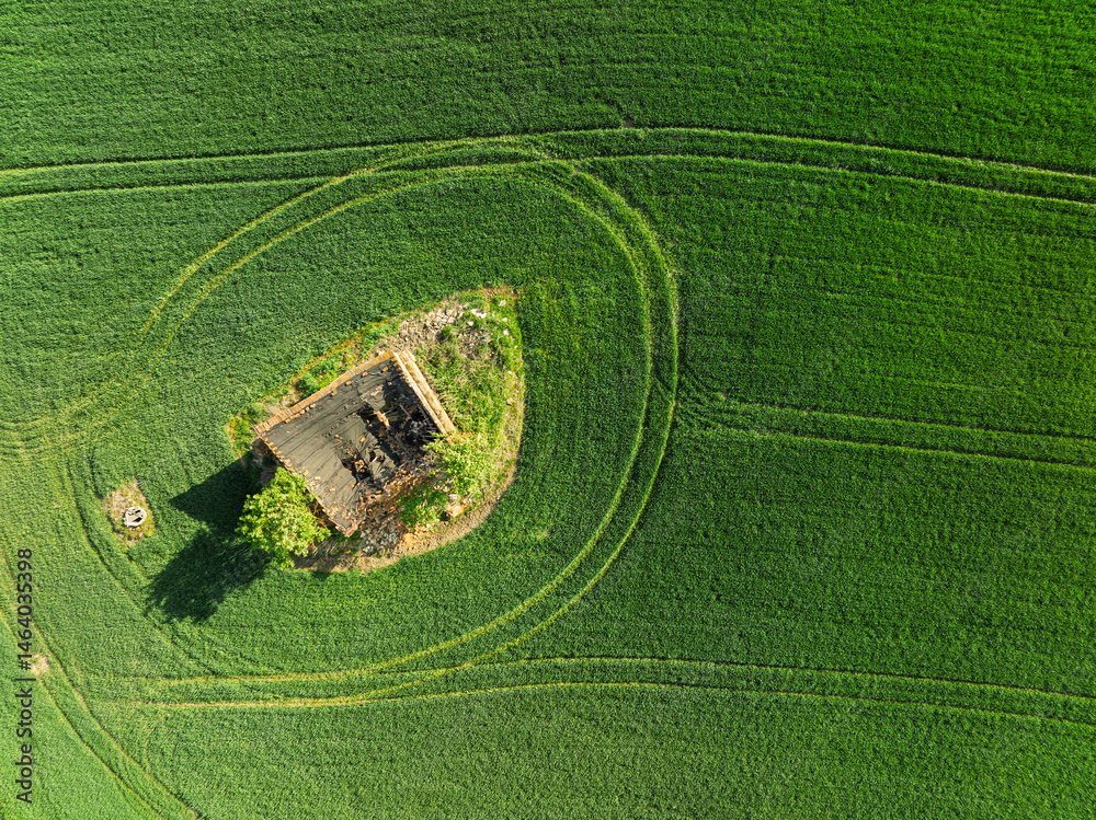 Aerial drone view of beautiful yellow fields rapeseed.Village country farming shapes in fields. Spring fields of yellow blooming rapeseed, growing plants. Fields in the Opole village from a drone.