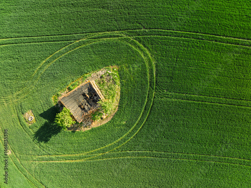 Obraz na płótnie Aerial drone view of beautiful yellow fields rapeseed.Village country farming shapes in fields. Spring fields of yellow blooming rapeseed, growing plants. Fields in the Opole village from a drone. w salonie