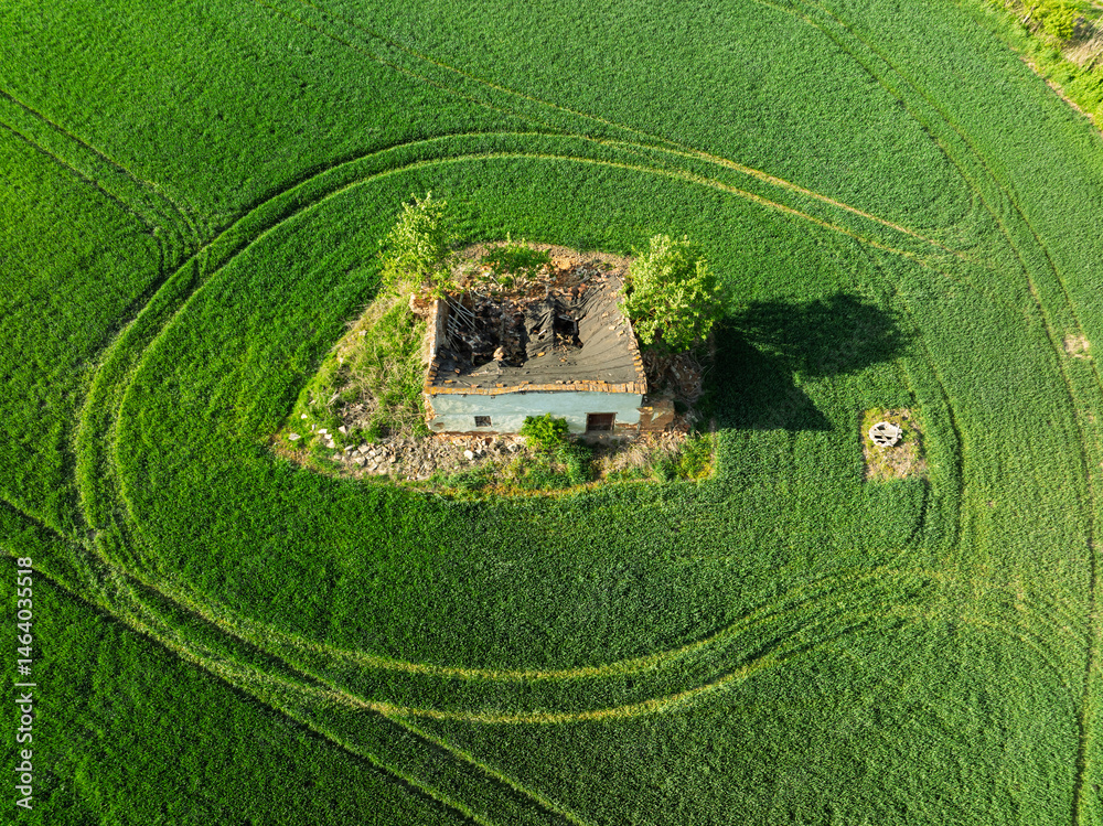 Aerial drone view of beautiful yellow fields rapeseed.Village country farming shapes in fields. Spring fields of yellow blooming rapeseed, growing plants. Fields in the Opole village from a drone.
