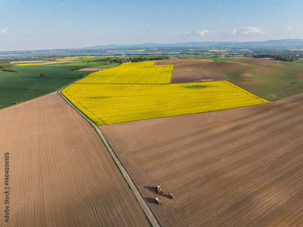 Aerial drone view of beautiful yellow fields rapeseed.Village country farming shapes in fields. Spring fields of yellow blooming rapeseed, growing plants. Fields in the Opole village from a drone.