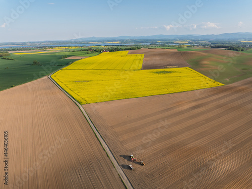Obraz na płótnie Aerial drone view of beautiful yellow fields rapeseed.Village country farming shapes in fields. Spring fields of yellow blooming rapeseed, growing plants. Fields in the Opole village from a drone. w salonie