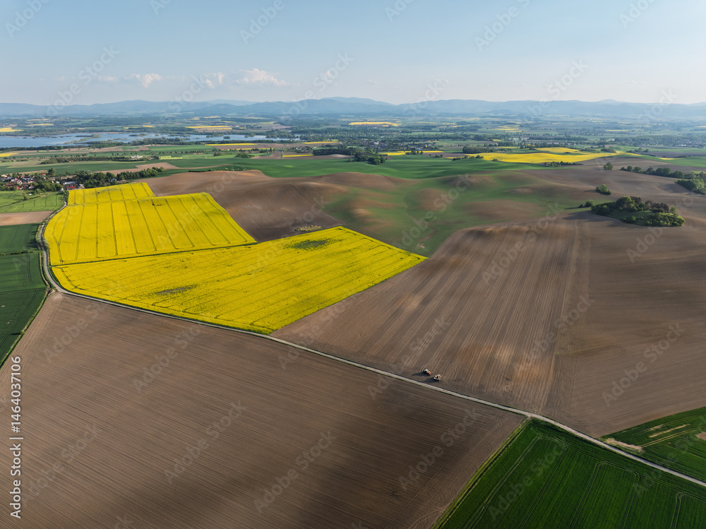Aerial drone view of beautiful yellow fields rapeseed.Village country farming shapes in fields. Spring fields of yellow blooming rapeseed, growing plants. Fields in the Opole village from a drone.