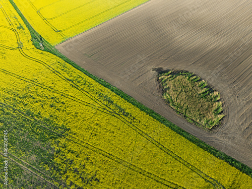 Obraz na płótnie Aerial drone view of beautiful yellow fields rapeseed.Village country farming shapes in fields. Spring fields of yellow blooming rapeseed, growing plants. Fields in the Opole village from a drone. w salonie