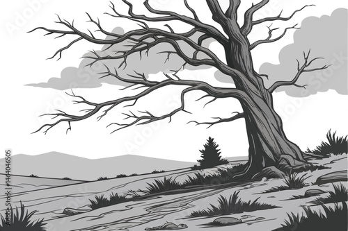 82 Black and white photography, twisted dead tree, gnarled branches, barren landscape, dramatic sky, pine needles, weathered wood, stark contrast, rugged terrain, desolate beauty, high-resolution deta