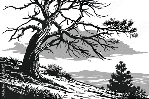 82 Black and white photography, twisted dead tree, gnarled branches, barren landscape, dramatic sky, pine needles, weathered wood, stark contrast, rugged terrain, desolate beauty, high-resolution deta
