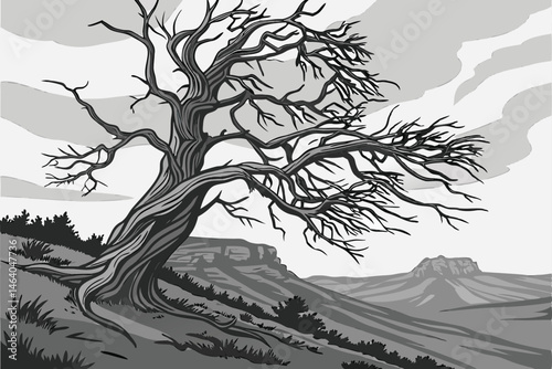 82 Black and white photography, twisted dead tree, gnarled branches, barren landscape, dramatic sky, pine needles, weathered wood, stark contrast, rugged terrain, desolate beauty, high-resolution deta