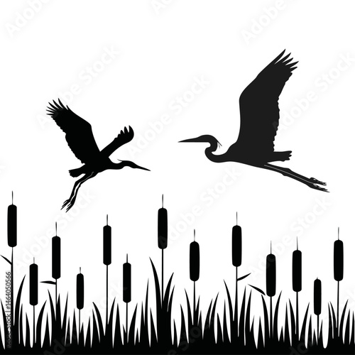 set silhouette of a wetland pond reed with heron vector wildlife nature graphic design
