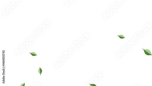 green screen video animation of plants and falling leaves