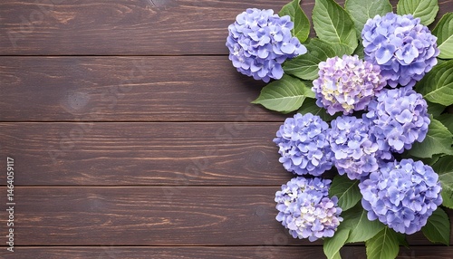 Lavender hydrangeas arranged on dark wood (1)