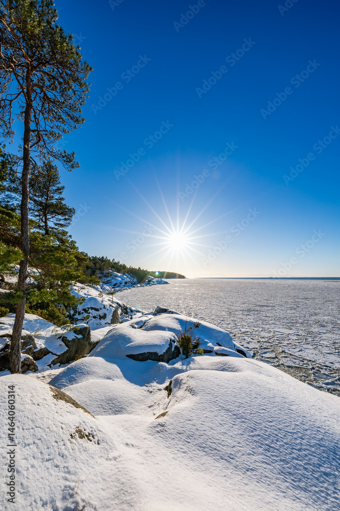 winter landscape with snow