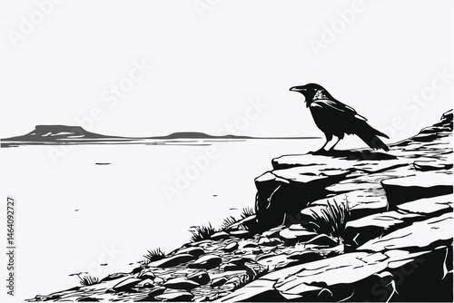94 Black and white photography, lone crow, rocky outcrop, desolate landscape, barren horizon, stark contrast, minimalist composition, textured stone, desert-like terrain, monochrome aesthetic, detaile